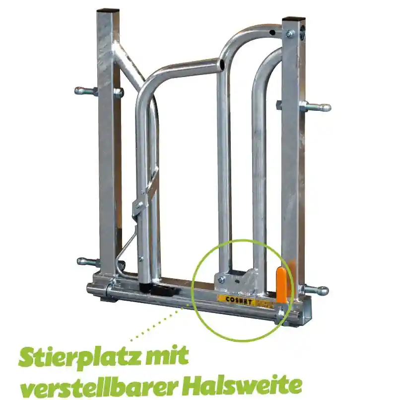 Schwedenfressgitter für Großvieh mit Hörnern